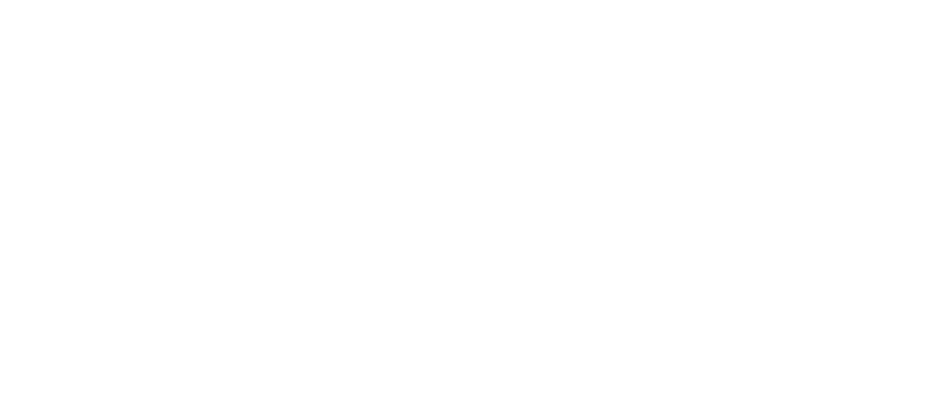 AMI Meetings